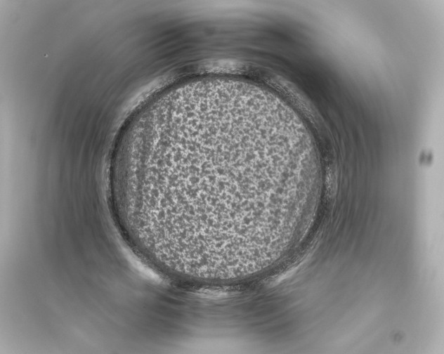 X0000093750725200711131124