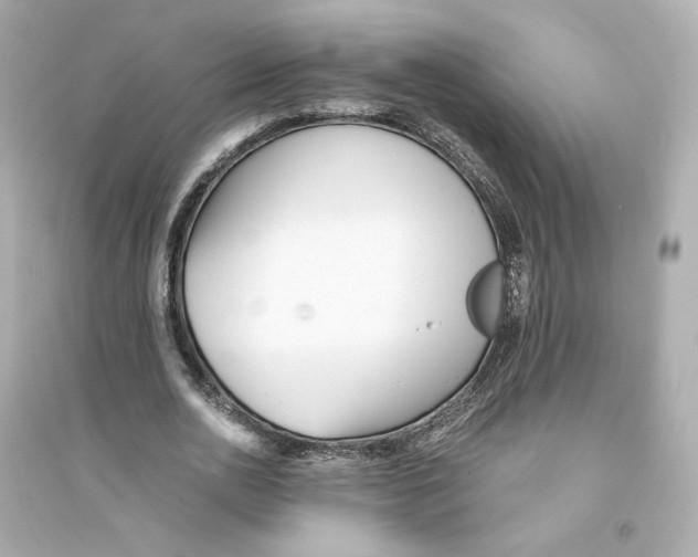 X0000093750726200711131124