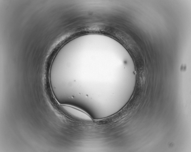 X0000093750728200711131125