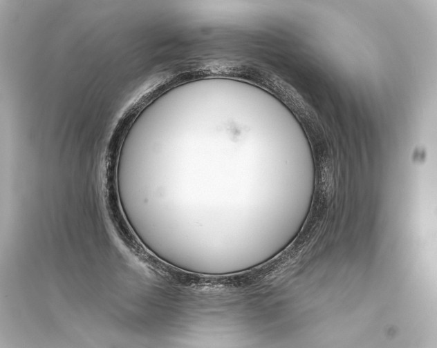 X0000093750730200711131125