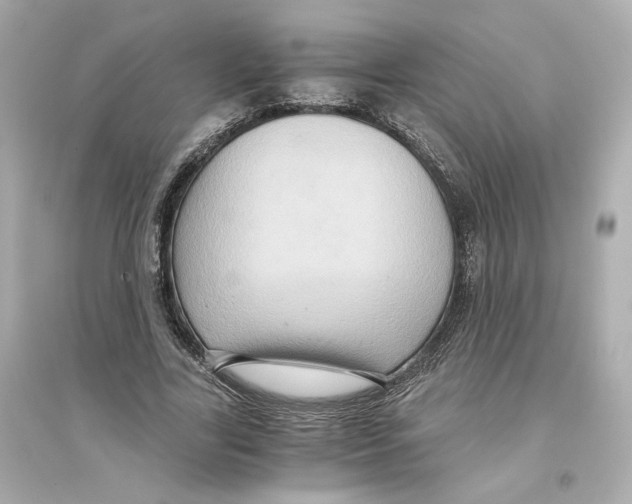 X0000093750731200711131125