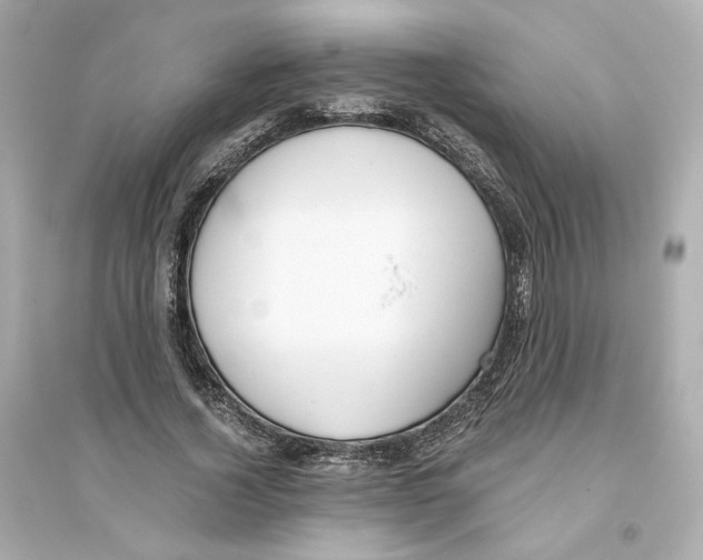 X0000093750732200711131125