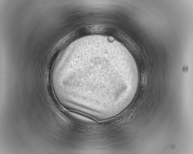 X0000093750733200711131125