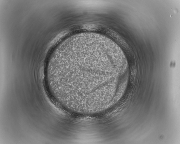 X0000093750734200711131125