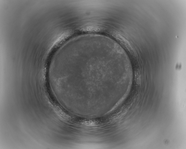 X0000093750735200711131125