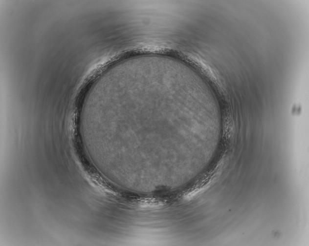 X0000093750736200711131125