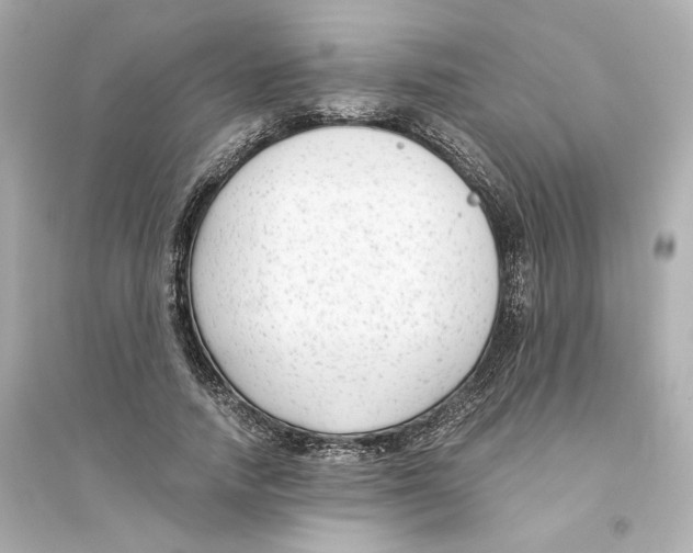 X0000093750738200711131125