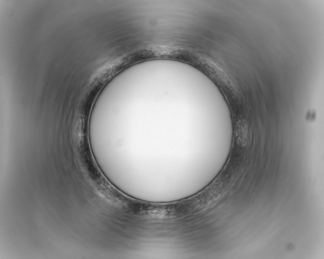 X0000093750740200711131125