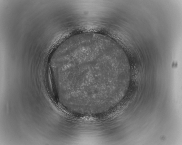 X0000093750742200711131125