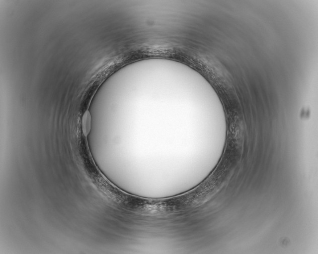 X0000093750744200711131125