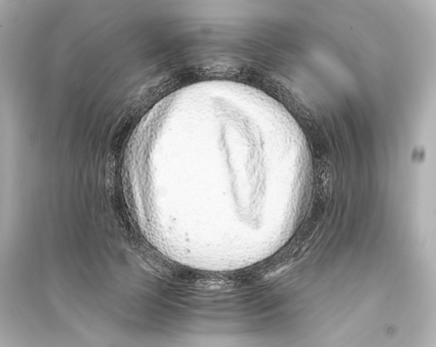 X0000093750745200711131125