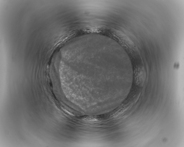 X0000093750747200711131125