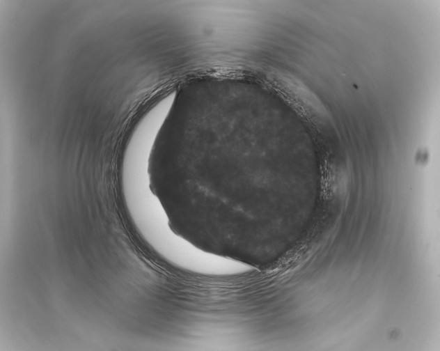 X0000093750748200711131125