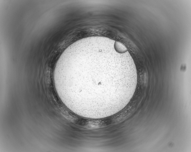 X0000093750757200711131125