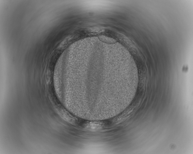 X0000093750758200711131125