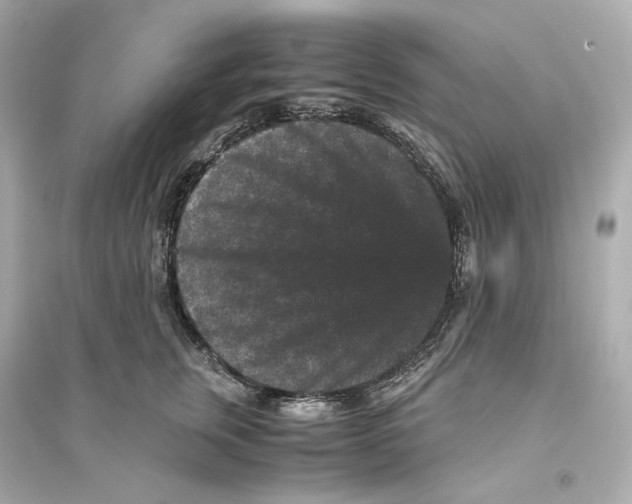 X0000093750759200711131125