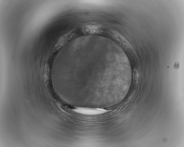 X0000093750760200711131125