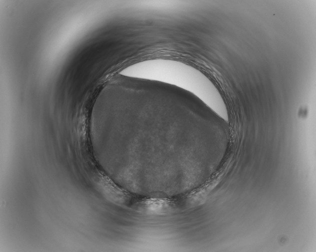 X0000093750762200711131125