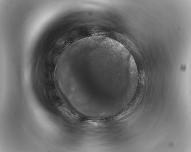 X0000093750763200711131125