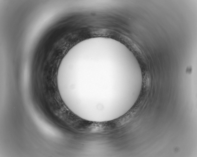 X0000093750764200711131125