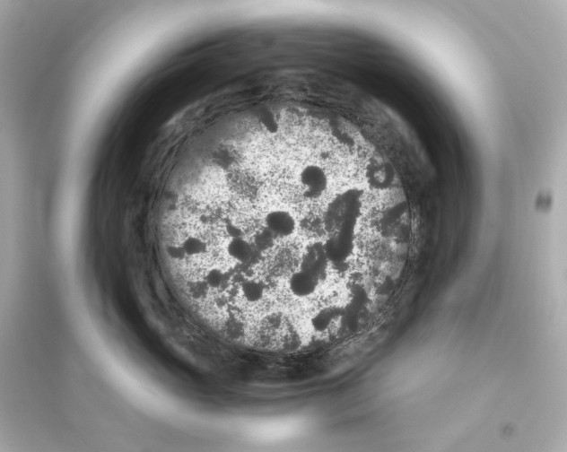 X0000093750765200711131125