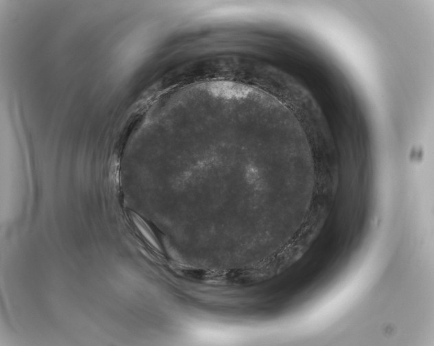 X0000093750766200711131125