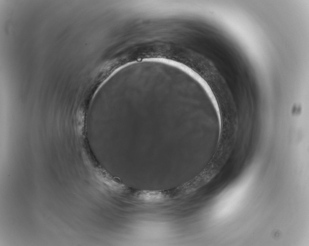 X0000093750767200711131125