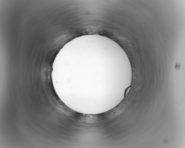 X0000093750768200711131125