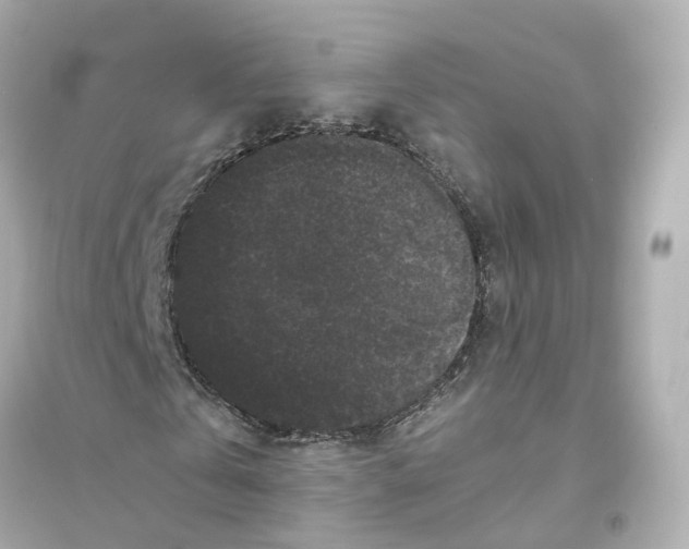 X0000093750769200711131124