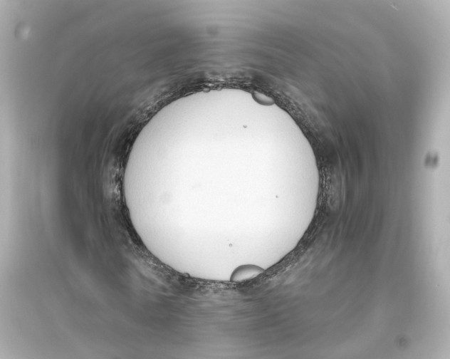 X0000093750770200711131124