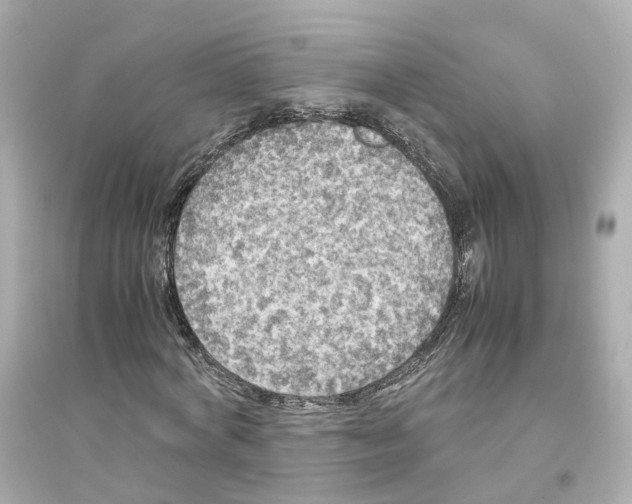 X0000093750772200711131124