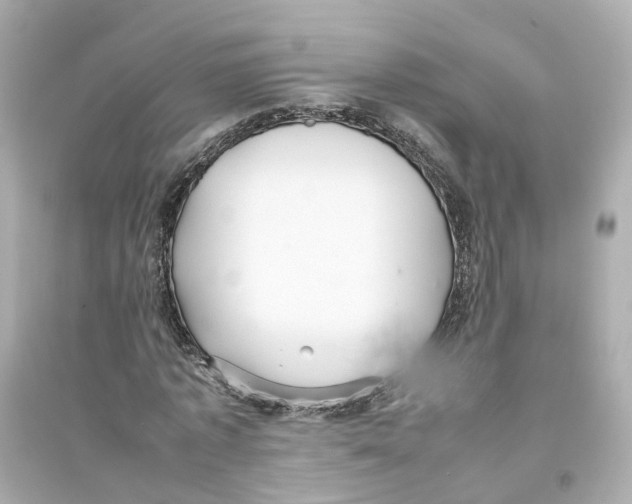 X0000093750773200711131124