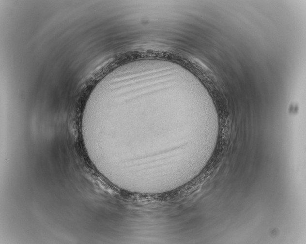 X0000093750774200711131124