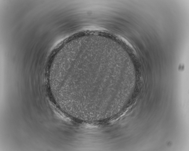 X0000093750775200711131124