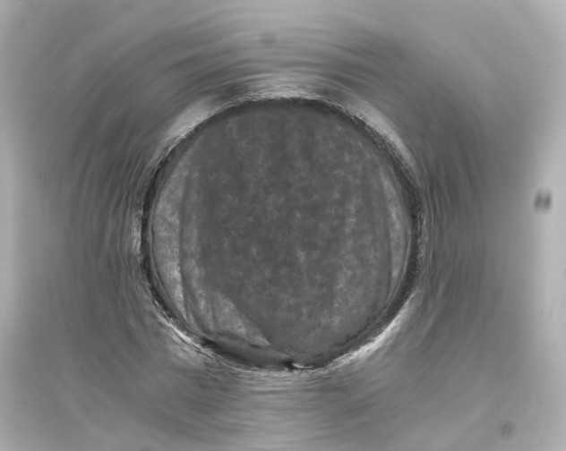 X0000093750777200711131124