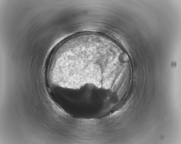 X0000093750779200711131124