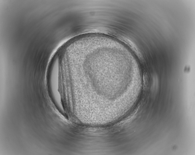 X0000093750780200711131124