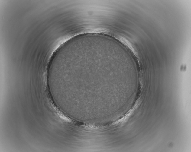 X0000093750781200711131124