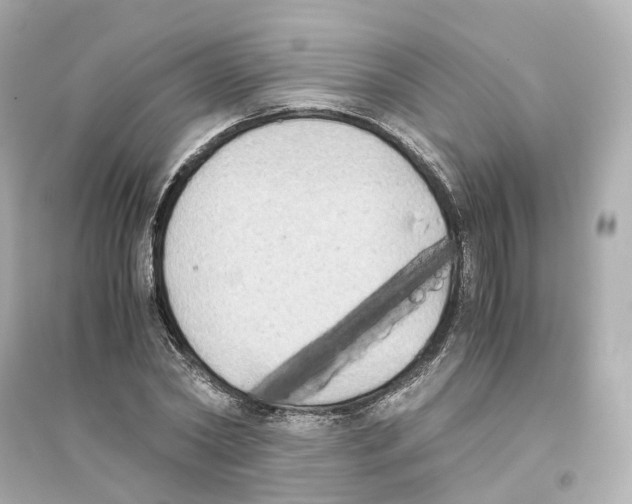 X0000093750782200711131124