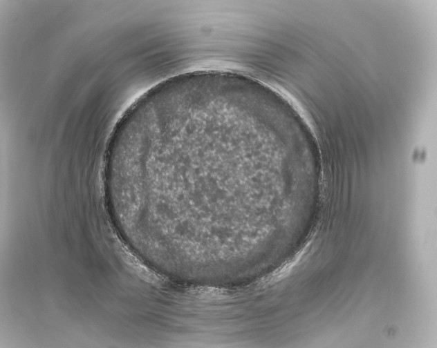 X0000093750783200711131124