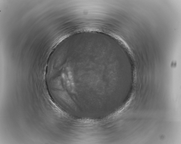 X0000093750785200711131124