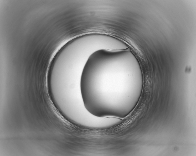 X0000093750788200711131124