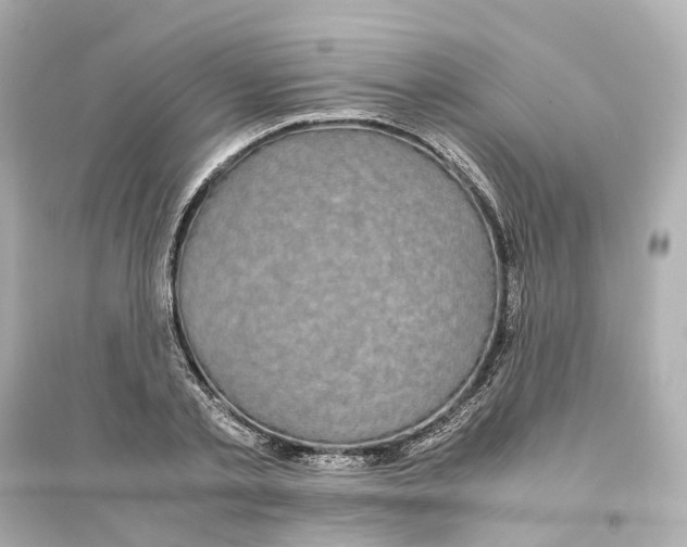 X0000093750789200711131124