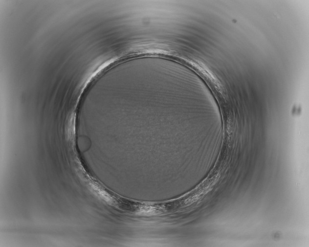 X0000093750790200711131124