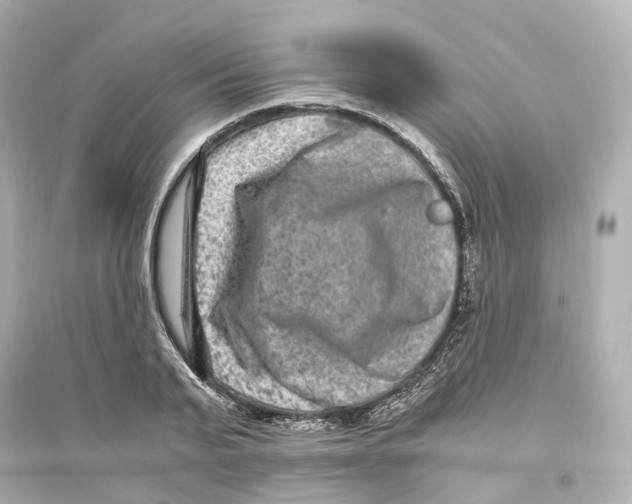 X0000093750791200711131124