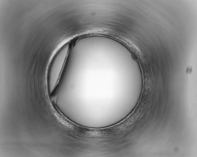 X0000093750792200711131124