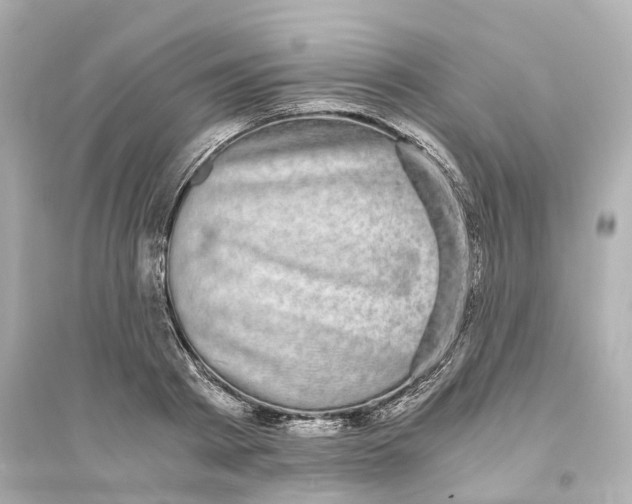 X0000093750793200711131124