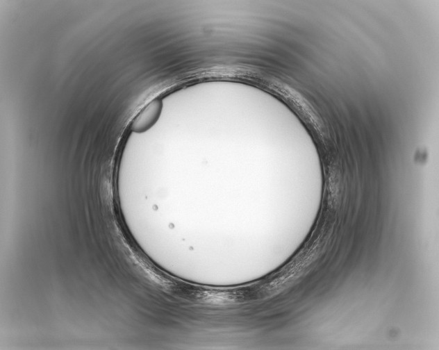 X0000093750794200711131124