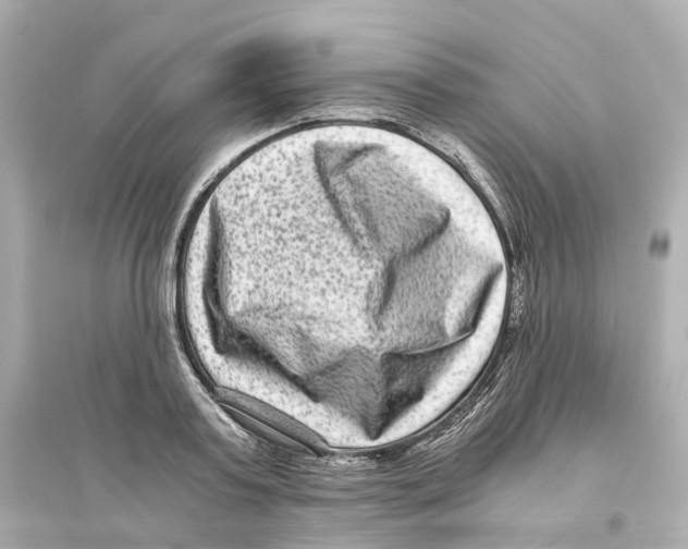 X0000093750795200711131124