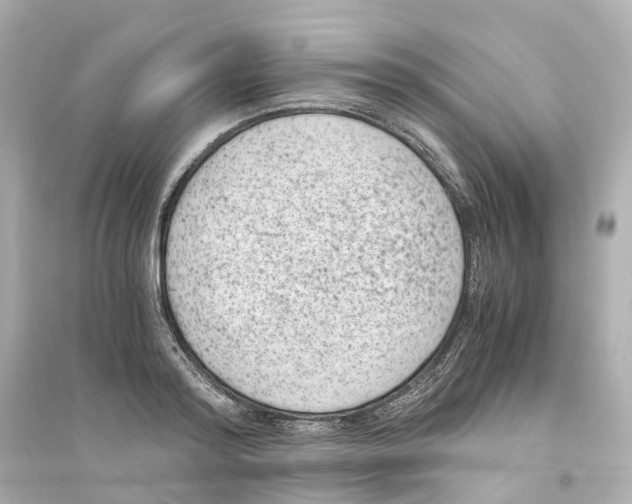 X0000093750796200711131124